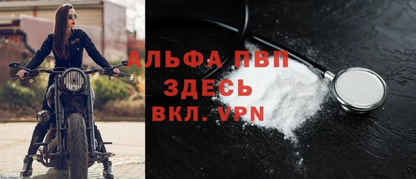 твердый Абаза