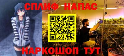 Альфа ПВП Пенза