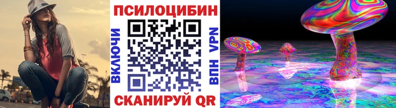 где купить наркоту  Урус-Мартан  omg как зайти  Псилоцибиновые грибы прущие грибы 