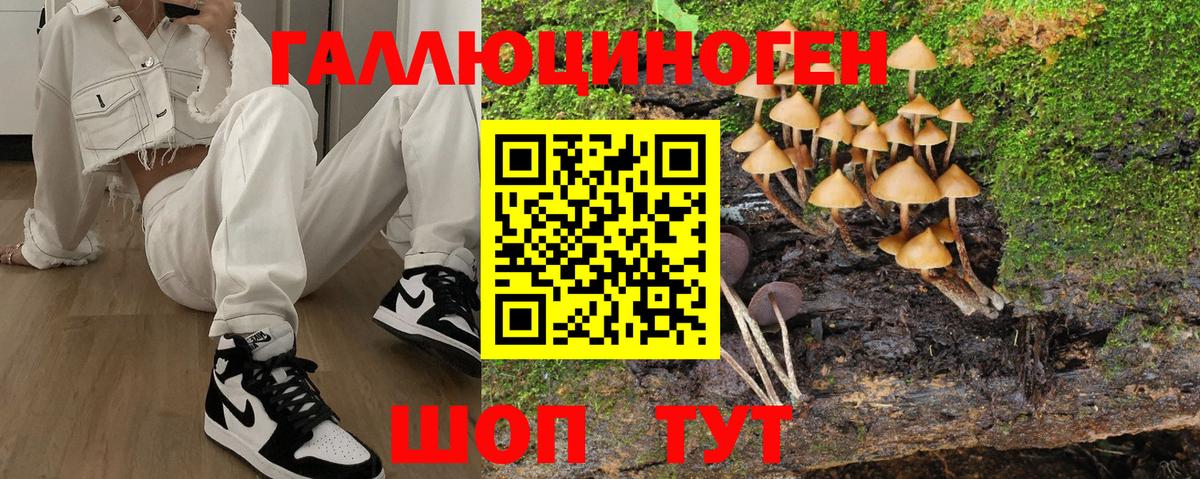Псилоцибиновые грибы ЛСД Урус-Мартан